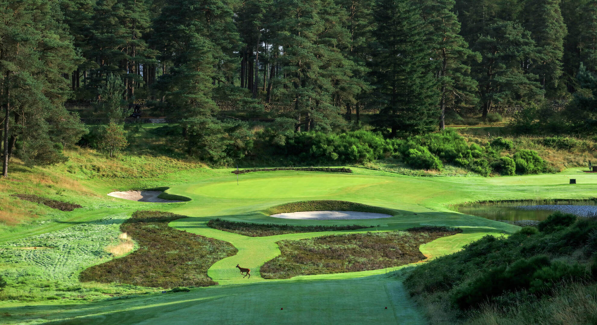 Gleneagles Queen's Golf Course, Dundee and Angus