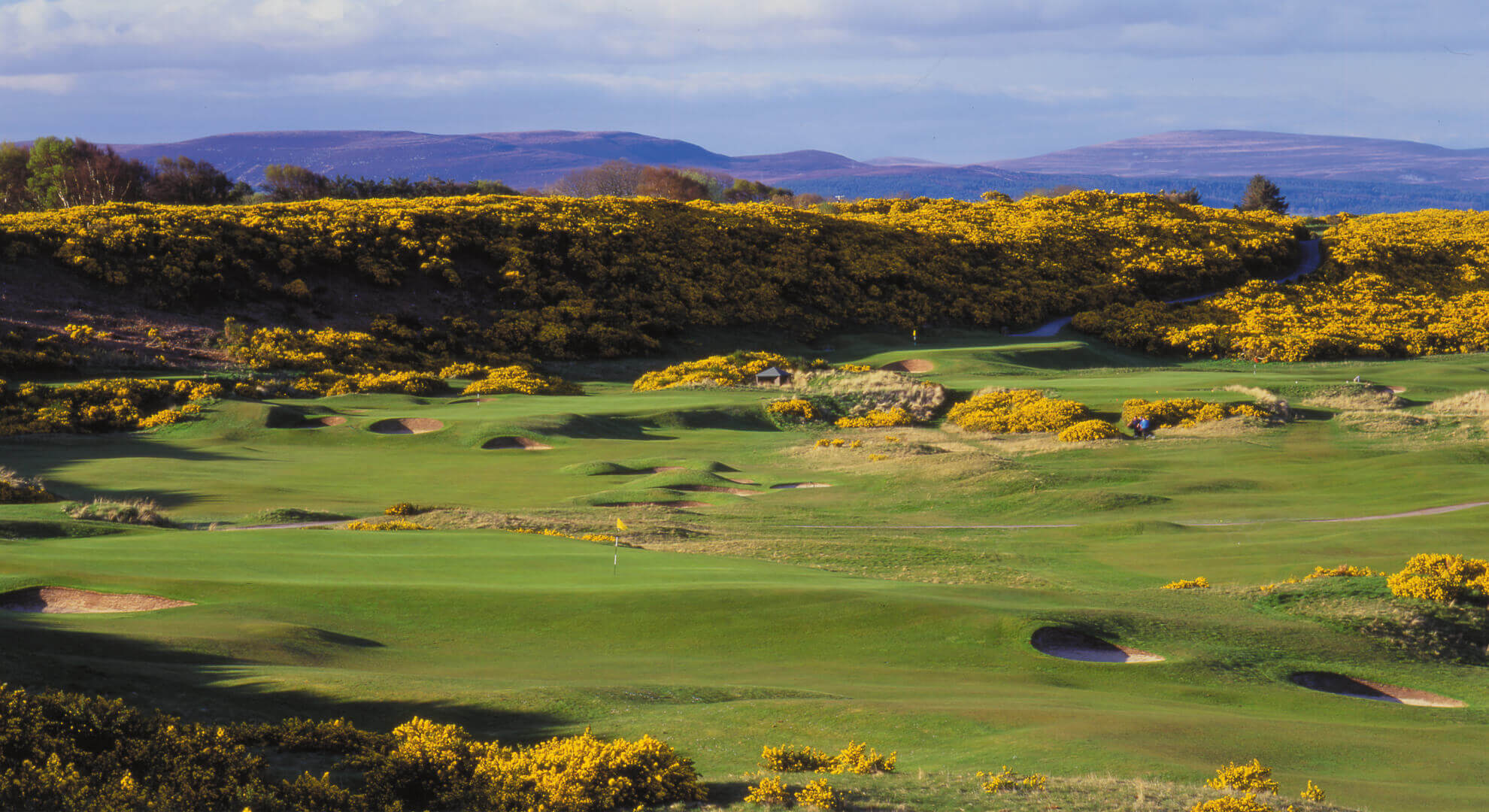 Royal Dornoch Golf Course, Highlands